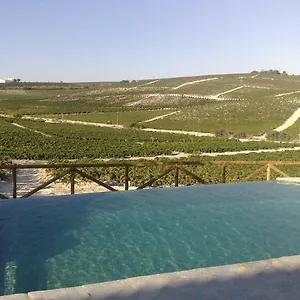 Viña Santa Petronila Jerez de la Frontera